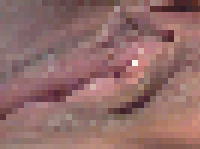 70d89ca1118d11cdde947dff5efbb67c