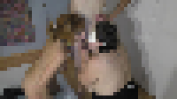 b1fae3a96ff5c2514799c2eca13909af