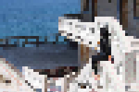 f01fc37528fa77cce0fc08c30981465d