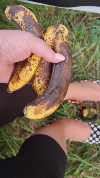 Bananencrush im Wald