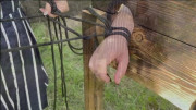 Ballbusting am Pranger Ausübung von Kontrolle und Vergnügen