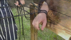 Ballbusting am Pranger Ausübung von Kontrolle und Vergnügen