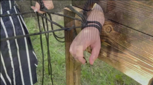 Ballbusting am Pranger Ausübung von Kontrolle und Vergnügen