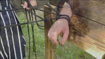 Ballbusting am Pranger Ausübung von Kontrolle und Vergnügen