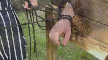 Ballbusting am Pranger Ausübung von Kontrolle und Vergnügen