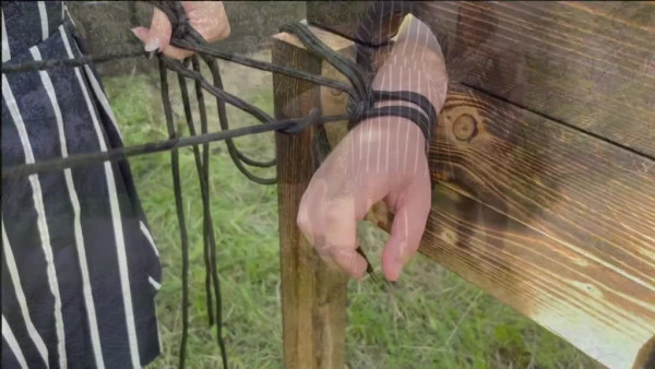Ballbusting am Pranger Ausübung von...